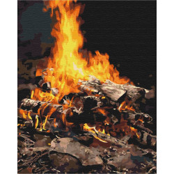 Картина за номерами Костер BS21741