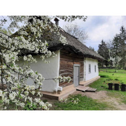 Алмазна мозаїка Українська весна 30*40см