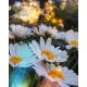Алмазна мозаїка Ромашкова ніжність 30*40см