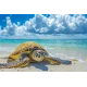 Алмазна мозаїка Морська черепаха  30*40см