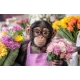 Алмазна мозаїка Продавець квітів  30*40см