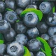 Картина за номерами  Соковита лохина 25*25см КНО5650