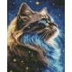 Алмазна мозаїка Магія космосу  40х50см AMO7928
