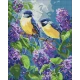 Алмазна мозаїка "Весняний дует" 40*50см AMO8087