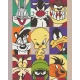 Алмазна мозаїка Герої Looney Tunes  40*50 см OD 6008