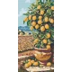 Алмазна мозаїка Цитрусове дерево 40*80 см OD 5116
