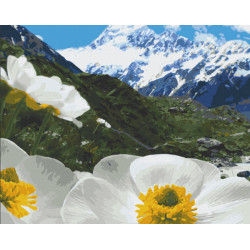 Картина за номерами Альпійські маки 40*50см