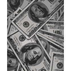 Картина за номерами Money лак 40*50см