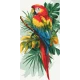 Картина за номерами Яскравий ара 40*80cм