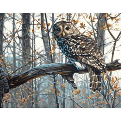 Картина за номерами Тварини. Зимова сова 40*50 см LW 3265