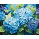 Картина за номерами  Блакитна гортензія 40*50 см LW 3489