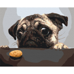 Картина за номерами Мопсик 40*50см