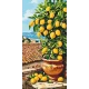 Картина за номерами Натюрморт. Цитрусове дерево 40*80 см LW 5116