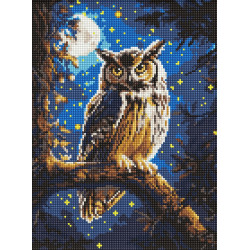 Алмазна мозаїка "Нічна сова з АВ стразами" 30x40см AMO8160