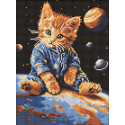 Алмазна мозаїка "Зоряний котик" 30x40см AMO8167