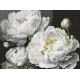 Алмазна мозаїка "Бездоганна краса" 30x40см AMO8169