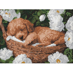 Алмазна мозаїка "Сплячий пудель" 30x40см AMO8170