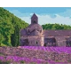 Картина за номерами Аромат лаванди 40*50см КНО2292