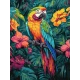 Картина за номерами Тропічний птах 30х40см  КНО6675