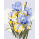 Картина за номерами Букет ірисів  40*50 см LW 31600
