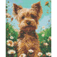 Алмазна мозаїка Тварини. Йоркширський тер&#039;єр 40*50 см OD 30470