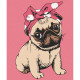 Картина за номерами Красуня мопс 25*30см  15532-AC