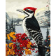 Картина за номерами Дятел на гілці 40х50см КНО6777