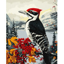 Картина за номерами Дятел на гілці 40х50см КНО6777