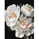 Картина за номерами Білосніжні бутони з фарбами металік 30х40см КНО3297