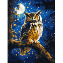 Картина за номерами Нічна сова з фарбами металік extra 30х40см КНО6681