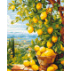 Картина за номерами Пейзаж. Лимонне дерево (цитрус) 40*50 см LW 3490