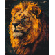 Картина за номерами Лев 40*50 см LW 2230