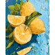 Картина за номерами Натюрморт. Лимонна насолода  40*50 см  LW 3527