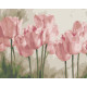Картина за номерами Рожеві тюльпани 40*50 см LW 3017