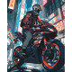 Картина за номерами На мотоциклі 40*50 см LW 3325