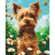 Картина за номерами Собака йоркширський тер'єр 40*50 см LW 30470