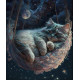 Алмазна мозаїка Зірковий сон  30*40см S20032