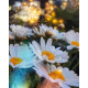 Алмазна мозаїка Ромашкова ніжність 30*40см S20039