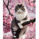 Алмазна мозаїка Кішка на квітучій гілці 30*40см S20048