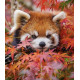 Алмазна мозаїка Червона панда серед осіннього листя 30*40см  S20049