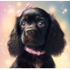 Алмазна мозаїка  Чорне щеня з рожевим бантом  30*40см S20058