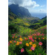 Алмазна мозаїка Зелені схили 30*40см   S20172