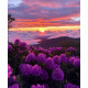 Алмазна мозаїка Фіолетові квіти в горах 30*40см  S20218