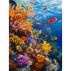 Алмазна мозаїка Яскраві глибини 30*40см  S20229
