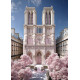 Алмазна мозаїка Собор Паризької Богоматері 30*40см  S20246