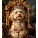 Алмазна мозаїка Королівський погляд  30*40см S20286