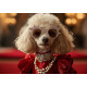 Алмазна мозаїка Елегантний пудель 30*40см  S20313