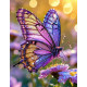 Алмазна мозаїка Сяйво крил 30*40см S20391