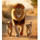 Алмазна мозаїка Лев з левенятами на прогулянці 30*40см S30028