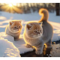Алмазна мозаїка  Кошенята в снігу 30*40см S30065